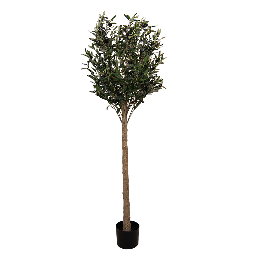 Decoratie olijf boom 50x50x165 cm