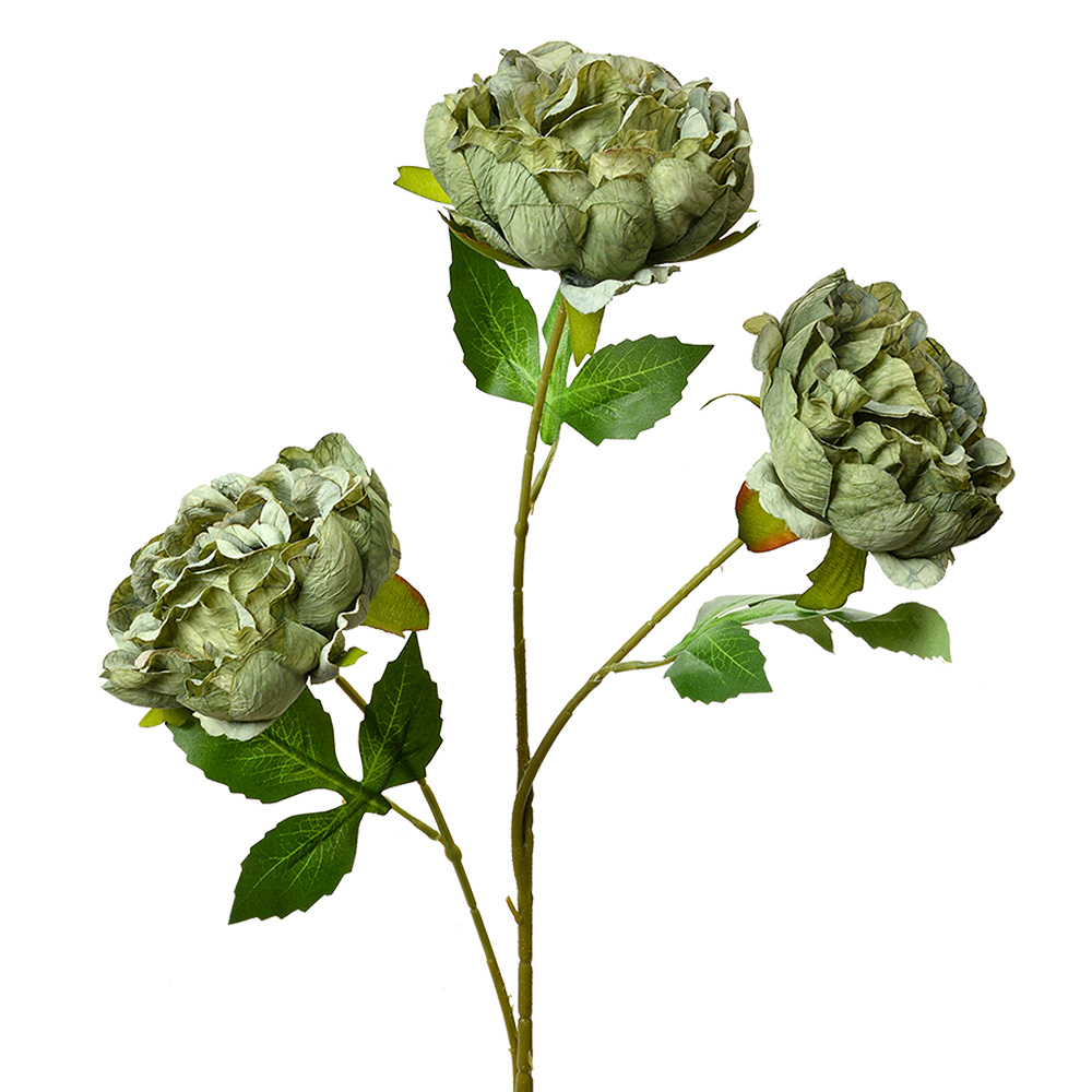 Decoratie tak met bloemen 12x8x80 cm