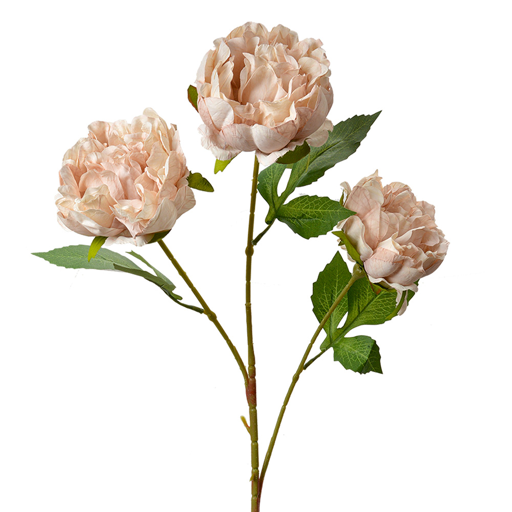 [5PL0166P] Decoratie tak met bloemen 12x8x80 cm