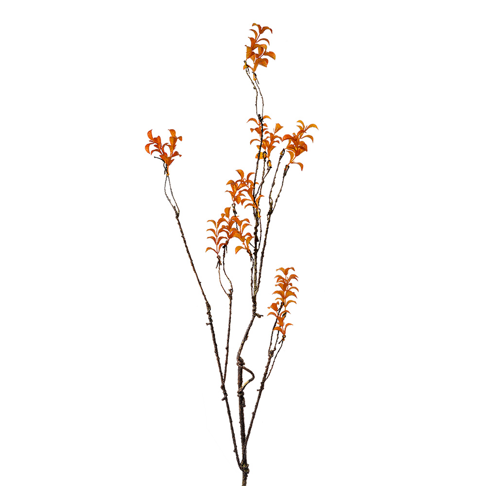 [5PL0184] Decoratie tak 18x5x110 cm