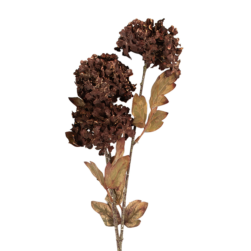 [5PL0193CH] Decoratie tak met bloemen 10x8x76 cm