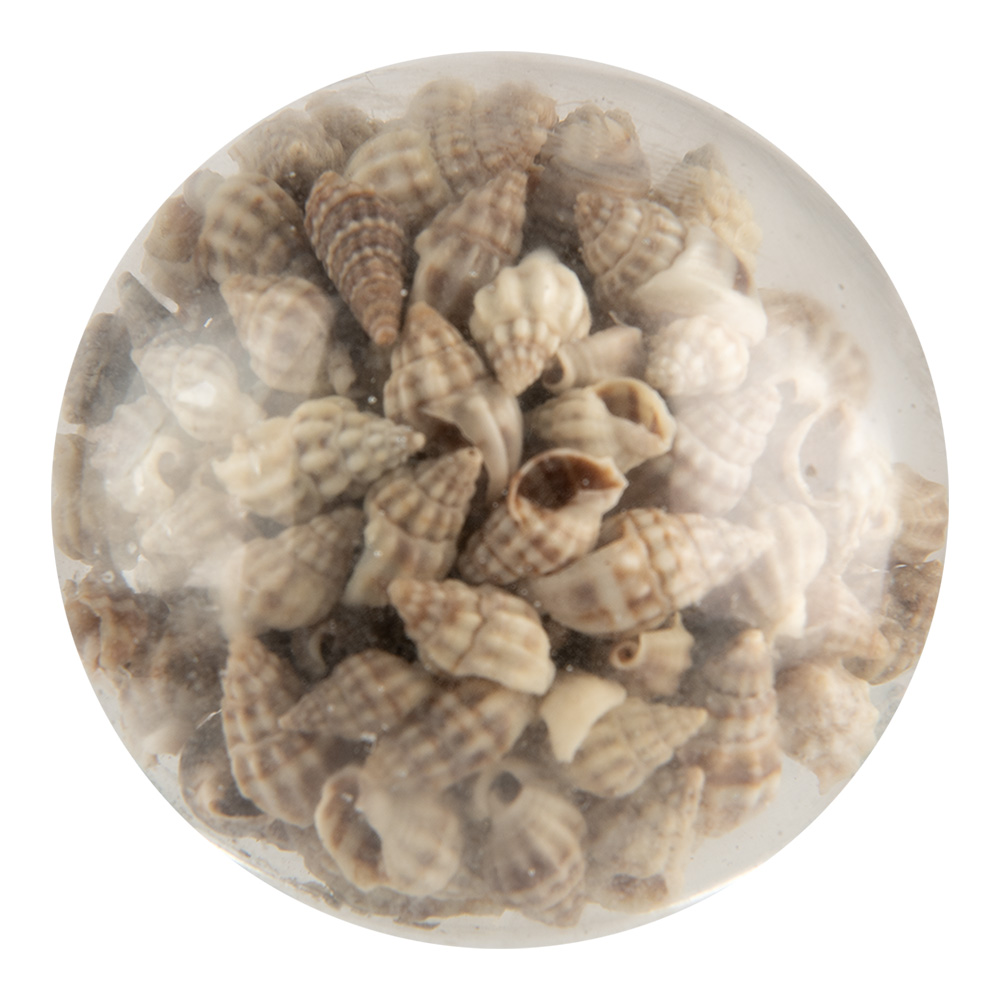 [66062] Deurknop Ø 5x4 cm / S3 cm