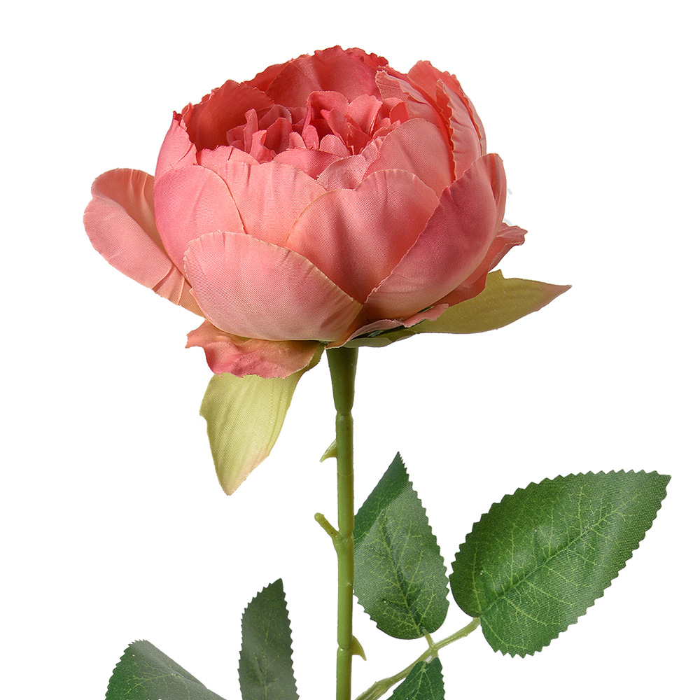 [6PL0366DP] Kunstbloem roos 8x8x62 cm