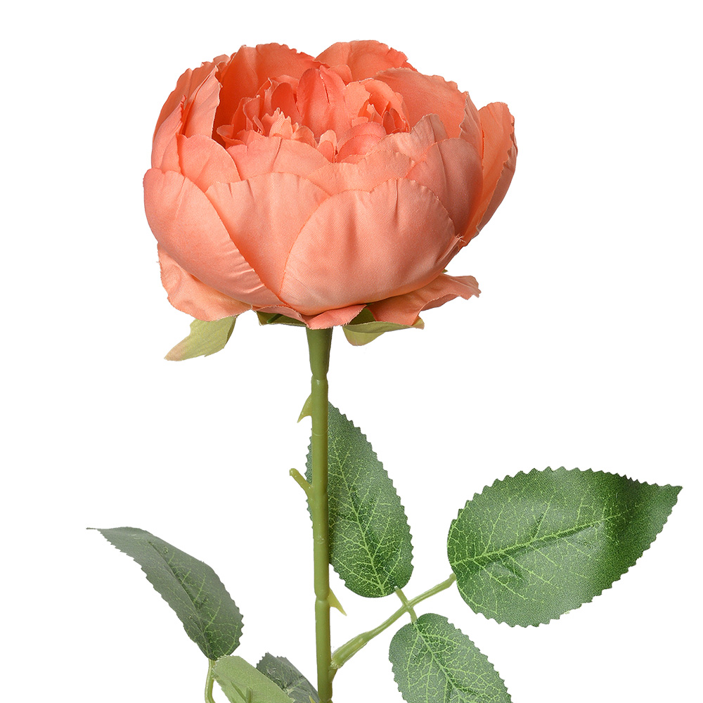 Kunstbloem roos 8x8x62 cm