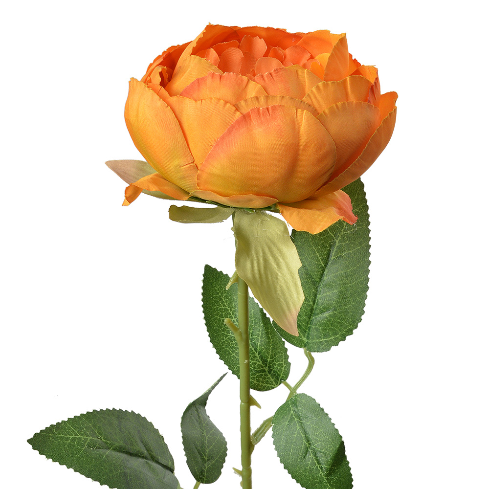 Kunstbloem roos 8x8x62 cm