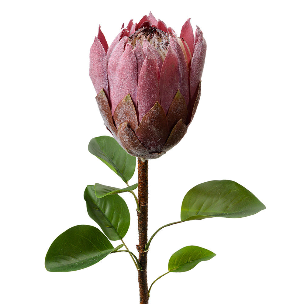 [6PL0389PA] Kunstbloem 10x10x65 cm