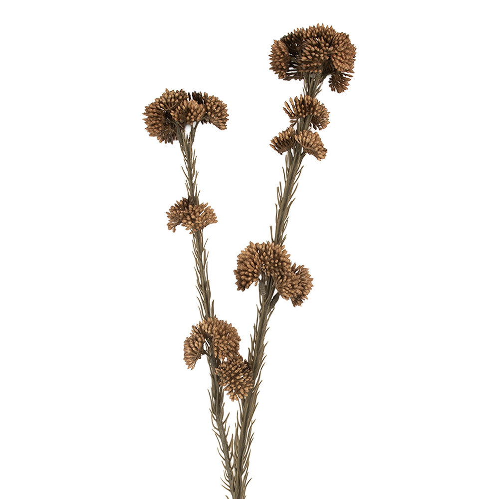 [6PL0399CH] Decoratie tak met bloemen 6x6x58 cm