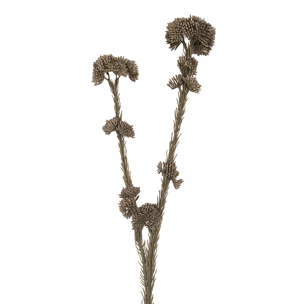 [6PL0399G] Decoratie tak met bloemen 6x6x58 cm