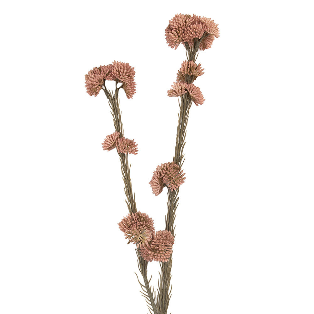 [6PL0399P] Decoratie tak met bloemen 6x6x58 cm