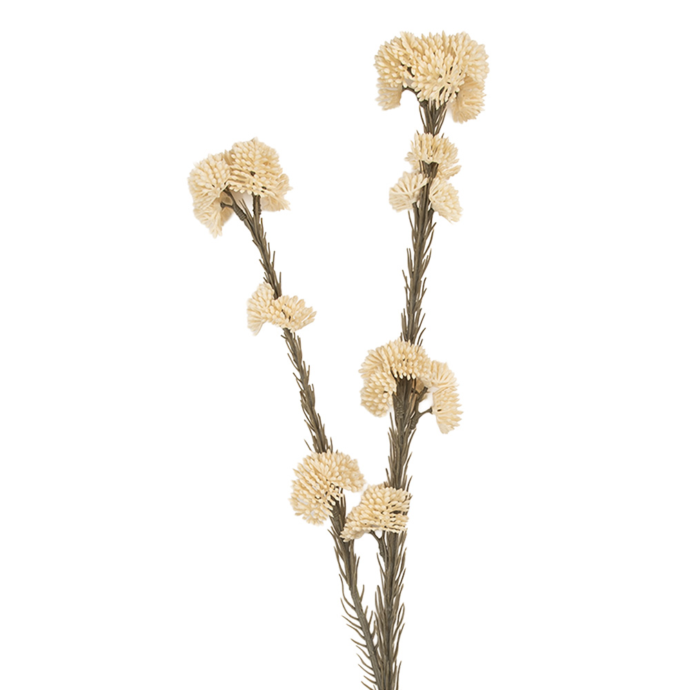 [6PL0399W] Decoratie tak met bloemen 6x6x58 cm