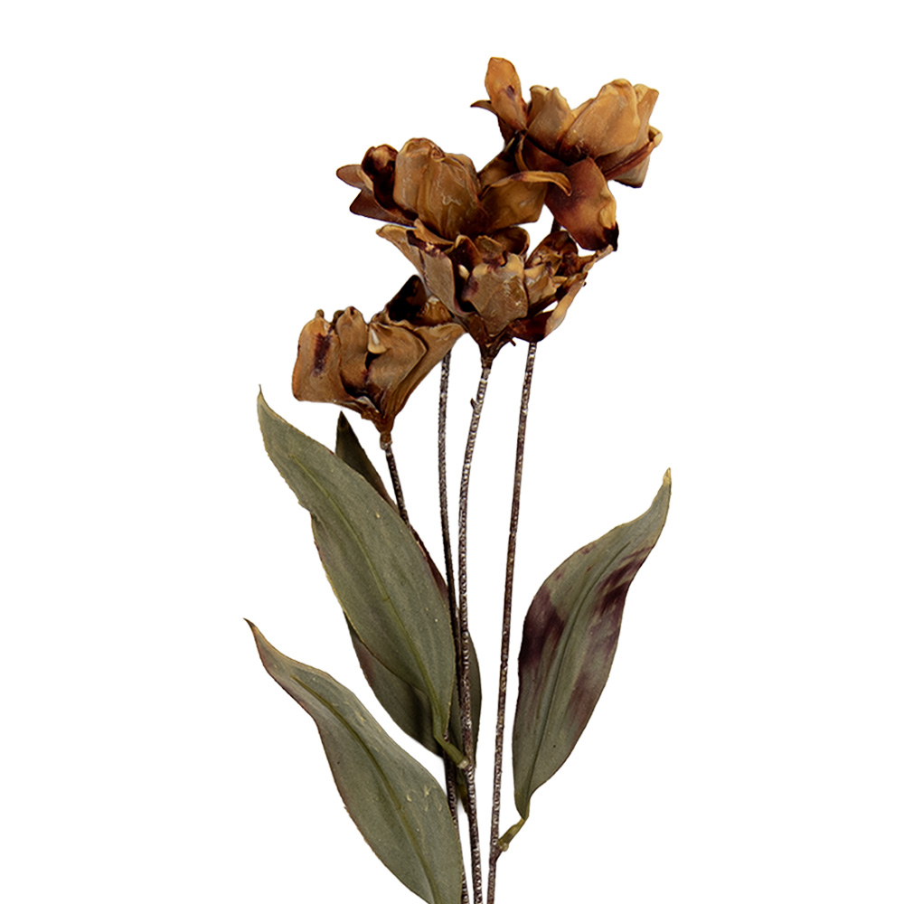 [6PL0403BR] Decoratie tak met bloemen 8x5x60 cm