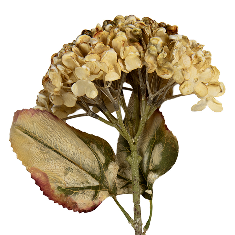 [6PL0404BE] Decoratie tak met bloemen 15x15x47 cm