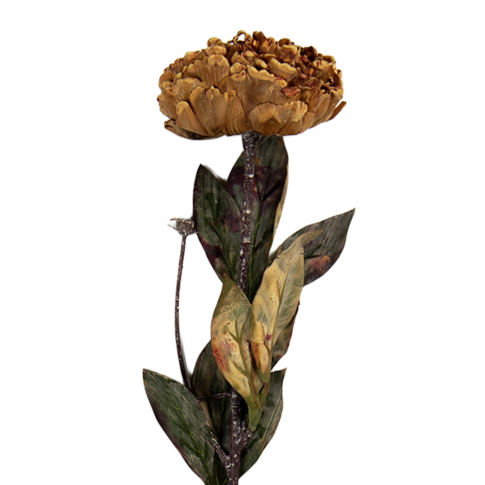 [6PL0405DY] Kunstbloem 10x10x65 cm