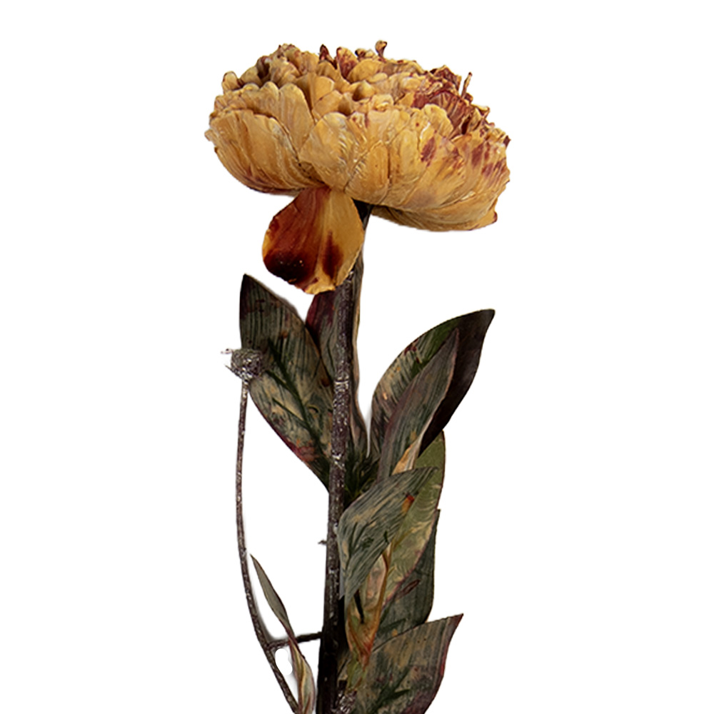 [6PL0405O] Kunstbloem 10x10x65 cm