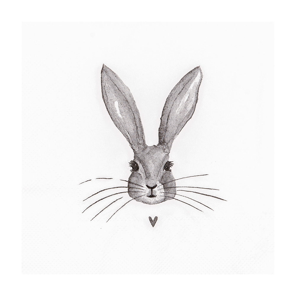 [73090] Papieren servetten 33x33 cm (20)