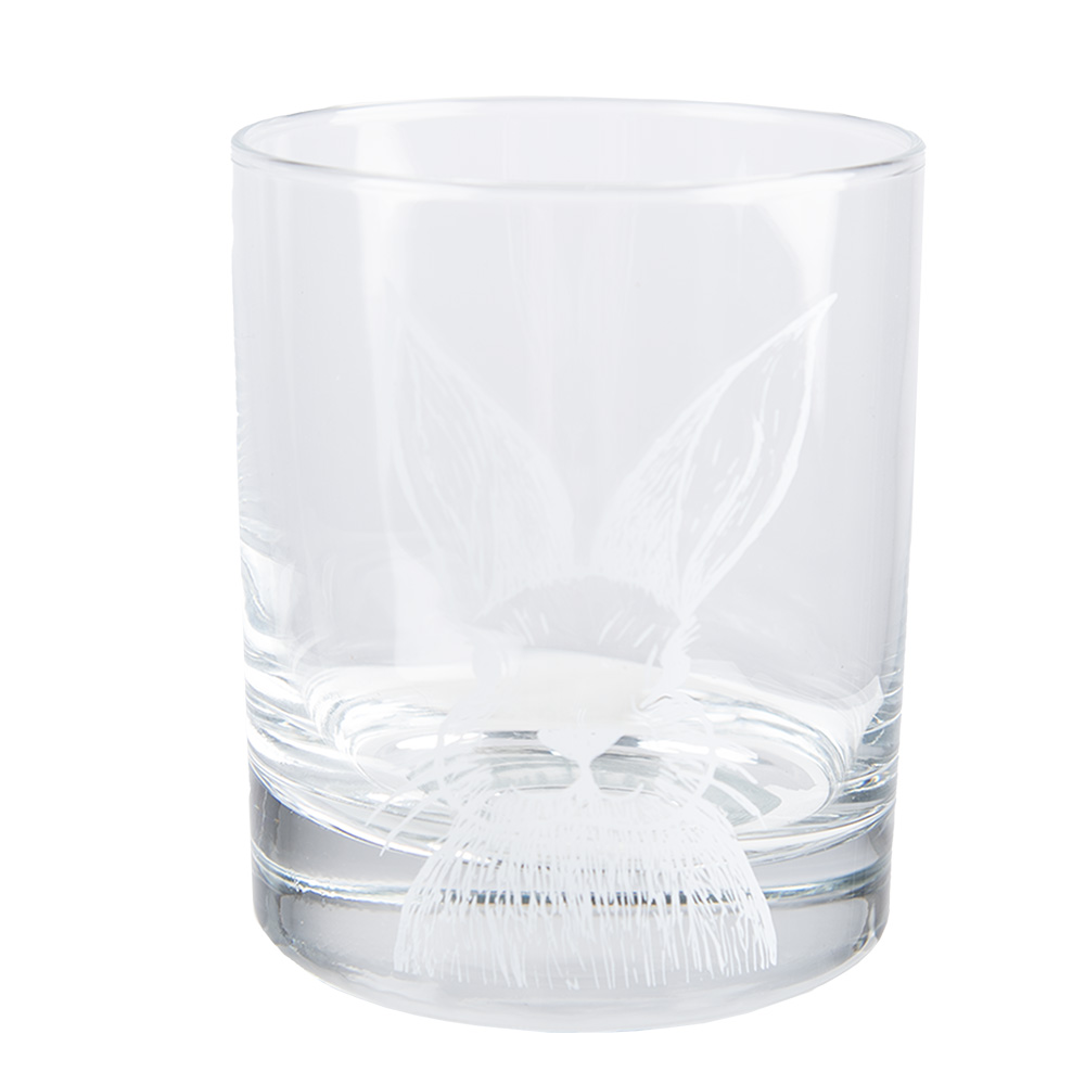 [RAEGL0005] Drinkglas Ø 7x9 cm / 300 ml