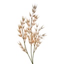 Decoratie tak 6x6x72 cm