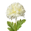 Kunstbloem 15x15x80 cm