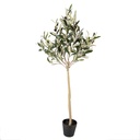 Decoratie olijf boom 20x20x90 cm