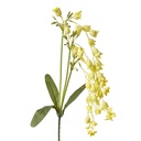 Decoratie tak met bloemen 15x6x80 cm