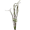 Decoratie tak 28x5x130 cm