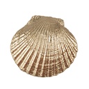 Deurknop 6x4x6 cm / S3 cm