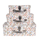 Decoratie koffer (3) 30x22x9/25x20x9/20x17x8 cm