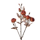 Decoratie tak met bloemen 16x9x73 cm