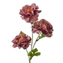 Decoratie tak met bloemen 8x8x64 cm