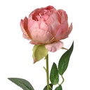 Kunstbloem roos 8x8x62 cm