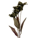 Decoratie tak met bloemen 8x5x60 cm