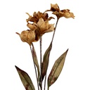 Decoratie tak met bloemen 8x5x60 cm