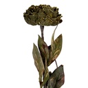 Kunstbloem 10x10x65 cm