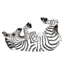 Flessenhouder zebra 32x12x18 cm