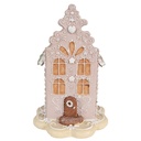 Decoratie huis 13x13x20 cm