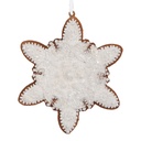 Decoratie hanger sneeuwvlok 9x1x10 cm