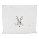 Gastendoekje 40x66 cm